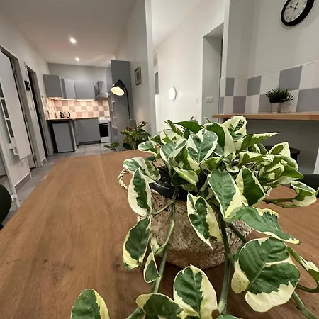 Maison Spacieuse Et Lumineuse 別荘